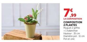 Composition 2 Plantes