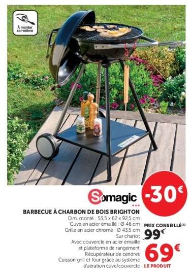 Barbecue à Charbon de Bois Brighton