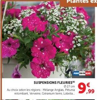 SUSPENSIONS FLEURIES