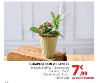 Composition 2 Plantes