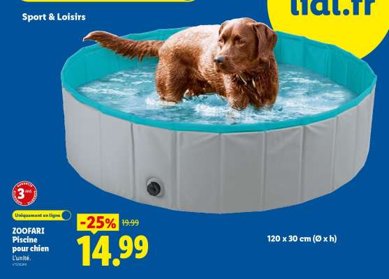 ZOOFARI Piscine pour chien