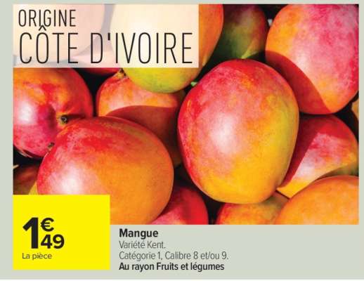 Mangue