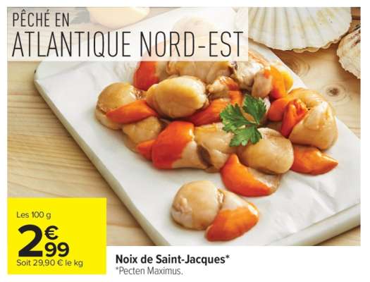 Noix De Saint-Jacques