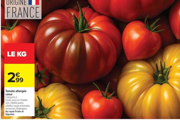 Tomate allongée coeur