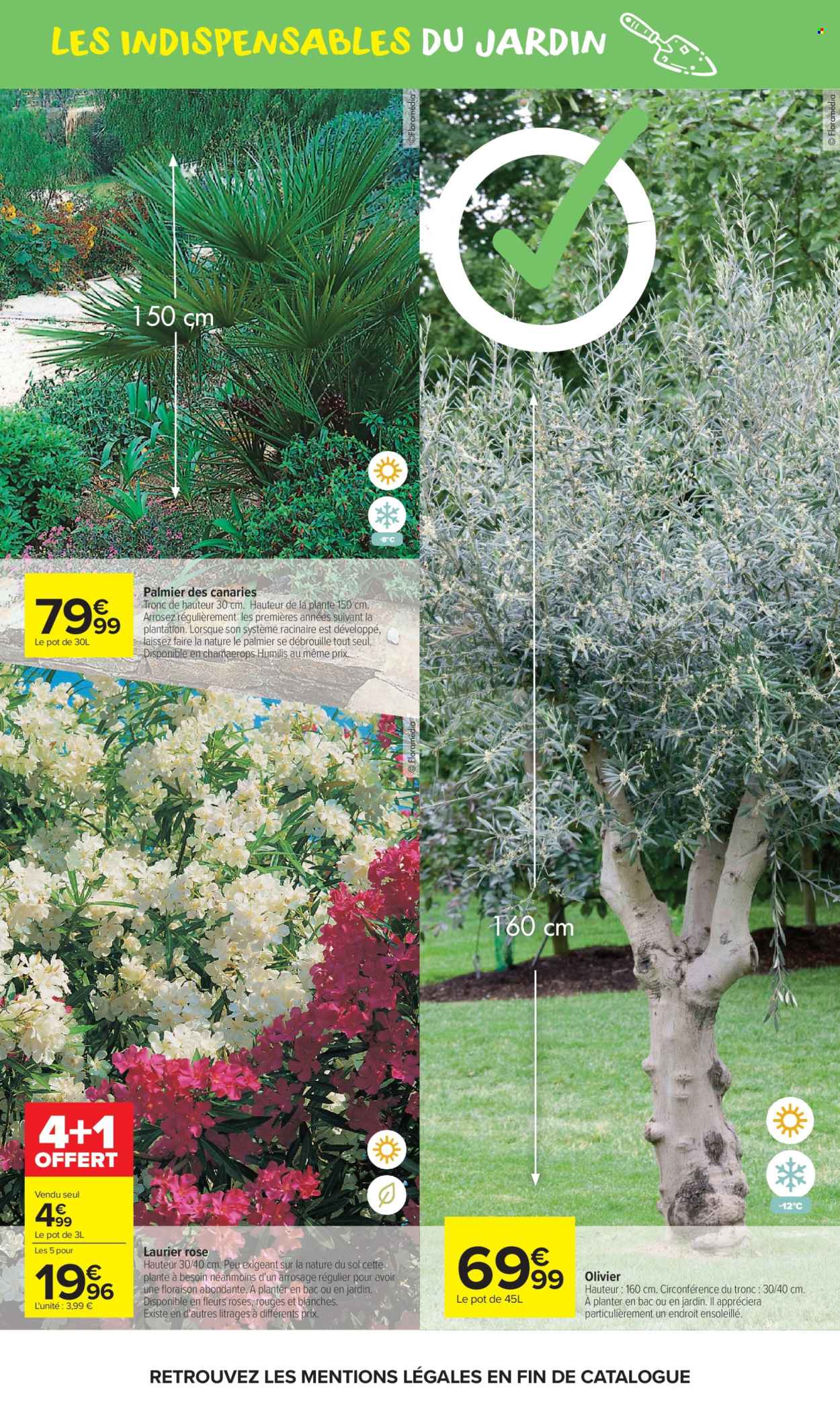 Catalogue Carrefour Market - 21/04/2026 - 10/05/2026. Page 5