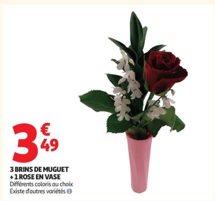 3 BRINS DE MUGUET + 1 ROSE EN VASE