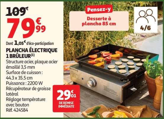 PLANCHA ÉLECTRIQUE 1 BRÛLEUR