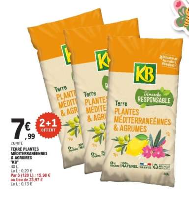 TERRE PLANTES MÉDITERRANÉENNES & AGRUMES