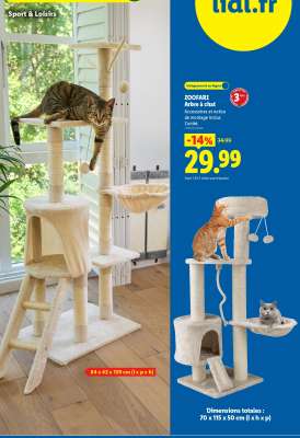 ZOOFARI Arbre à Chat