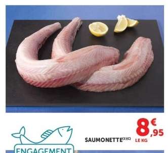 SAUMONETTE