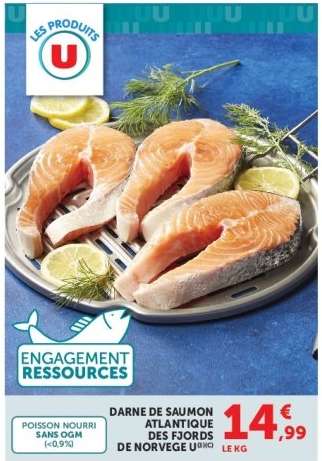 Darne de Saumon Atlantique des Fjords de Norvège