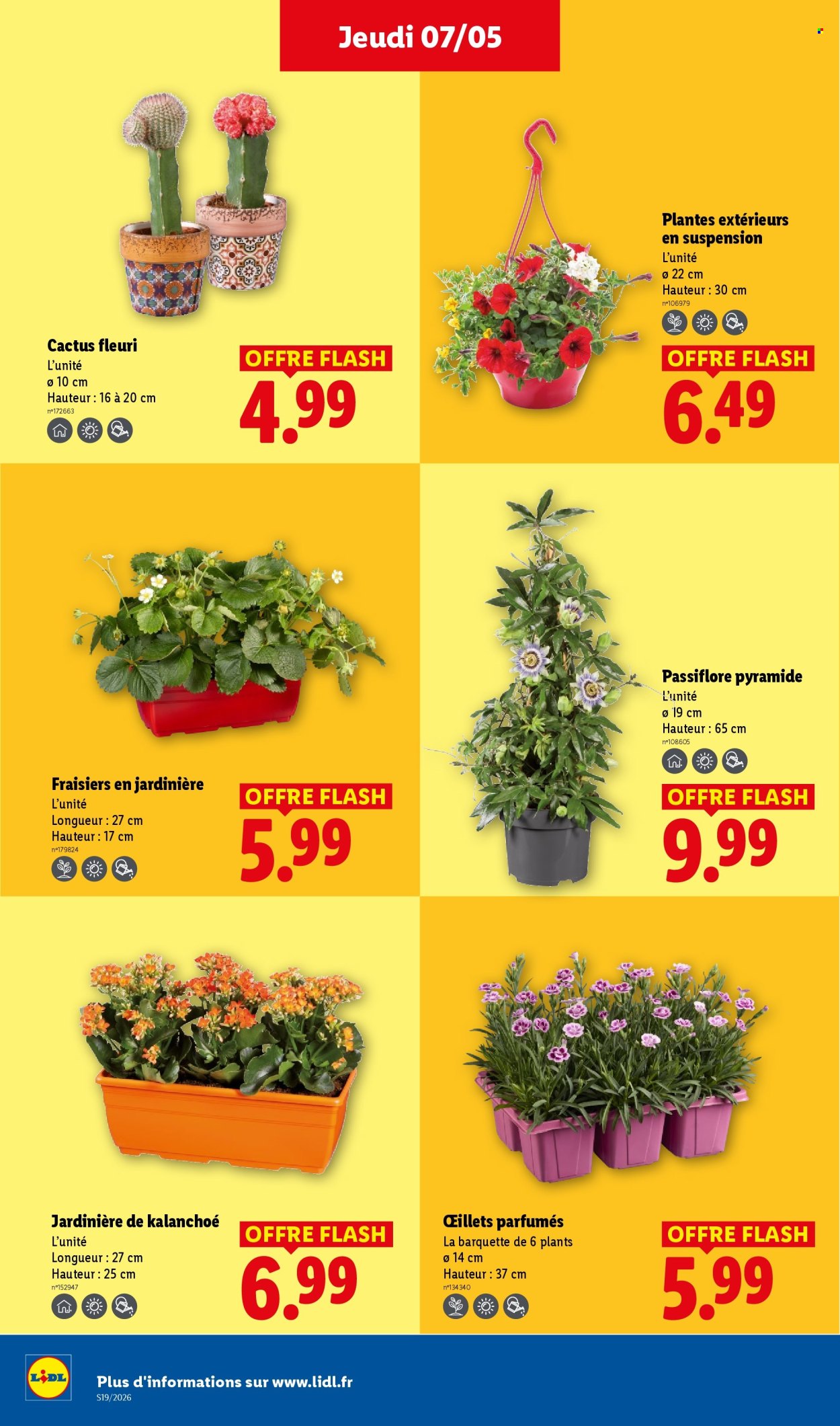 Catalogue Lidl - 07/05/2026 - 13/05/2026. Page 26