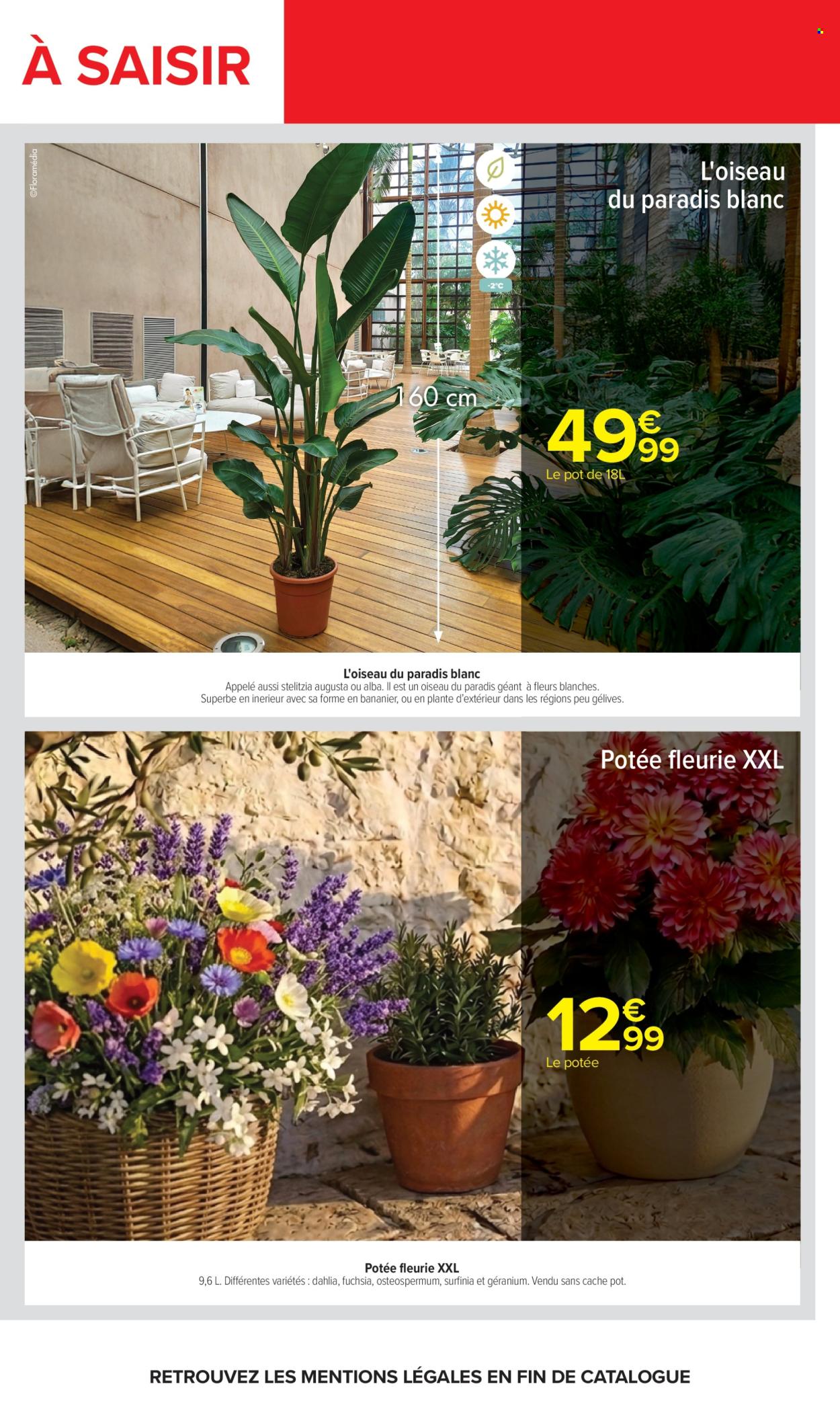 Catalogue Carrefour Hypermarchés - 05/05/2026 - 18/05/2026. Page 71
