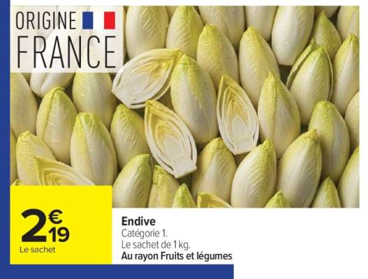 ENDIVE