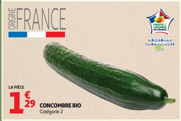 Concombre BIO