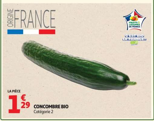 Concombre BIO
