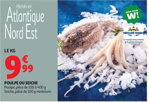 POULPE OU SEICHE