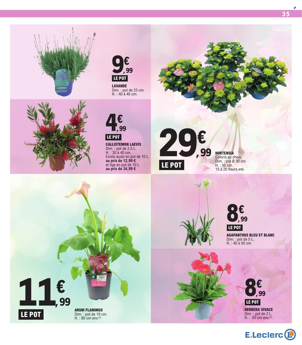 Catalogue E.Leclerc - 05/05/2026 - 16/05/2026. Page 35