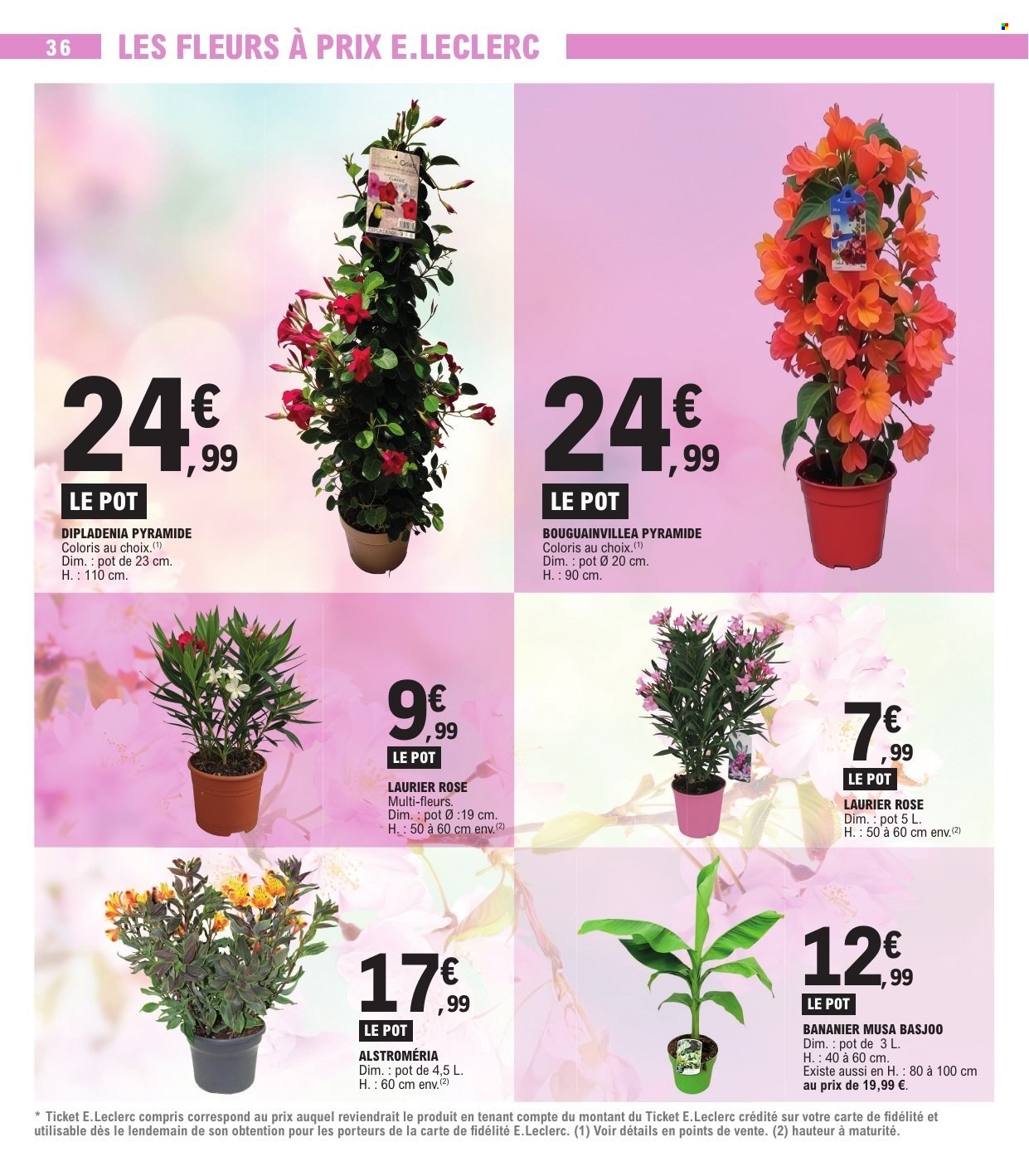 Catalogue E.Leclerc - 05/05/2026 - 16/05/2026. Page 36