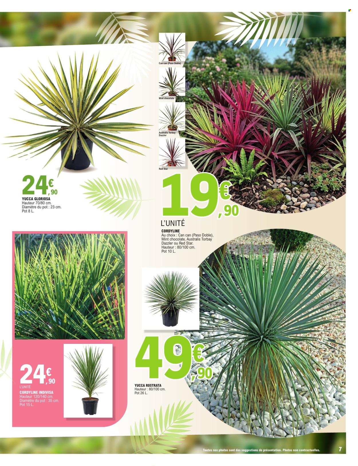 Catalogue E.Leclerc - 05/05/2026 - 16/05/2026. Page 7