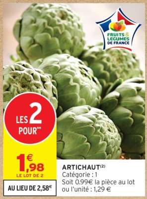 ARTICHAUT