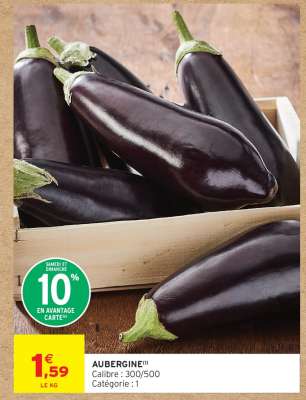 AUBERGINE