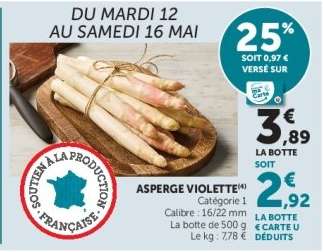 ASPERGE VIOLETTE