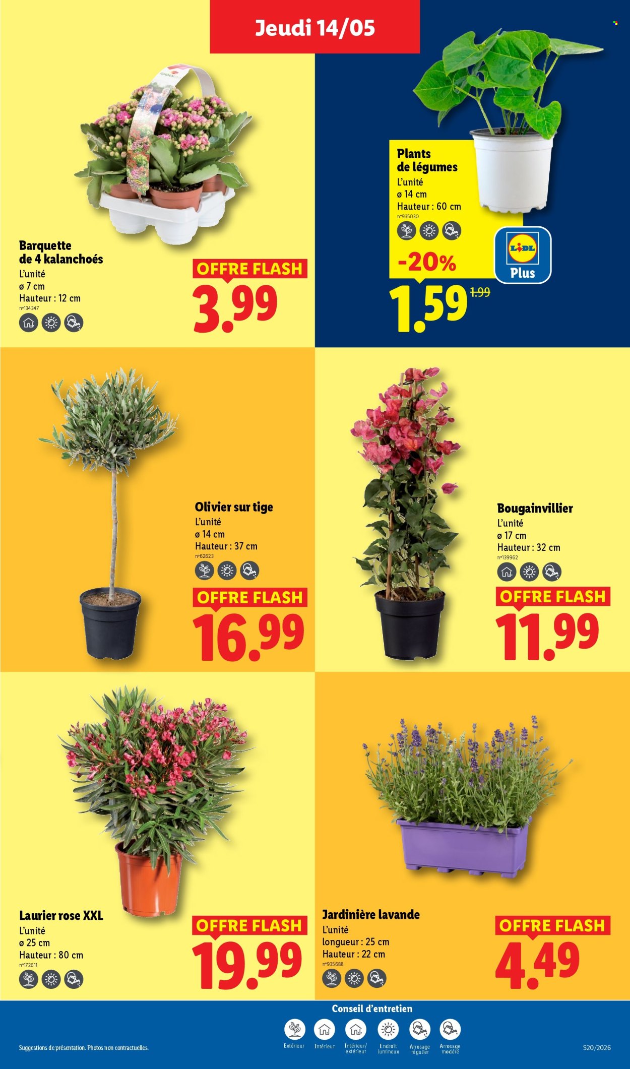 Catalogue Lidl - 14/05/2026 - 20/05/2026. Page 25