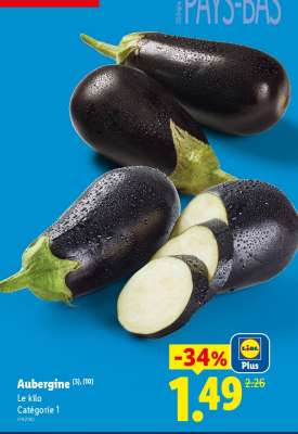 AUBERGINE