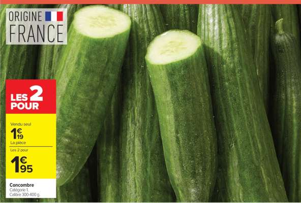 CONCOMBRE
