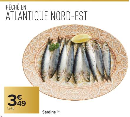 SARDINE