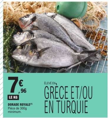 DORADE ROYALE