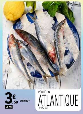 SARDINE