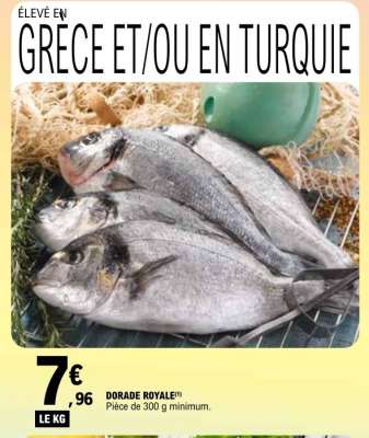 DORADE ROYALE