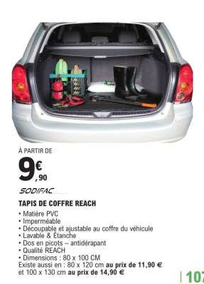 TAPIS DE COFFRE REACH