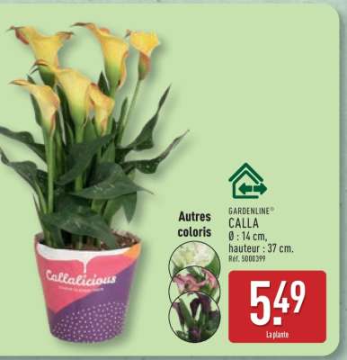 GARDENLINE CALLA