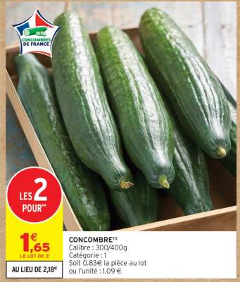 CONCOMBRE