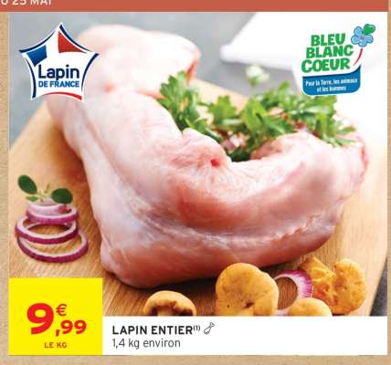 LAPIN ENTIER
