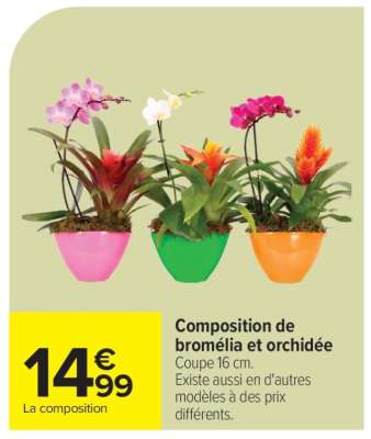 Composition de bromélia et orchidée