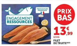 FILET DE TRUITE