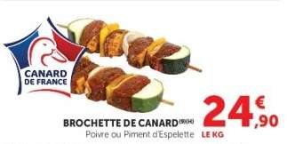 BROCHETTE DE CANARD