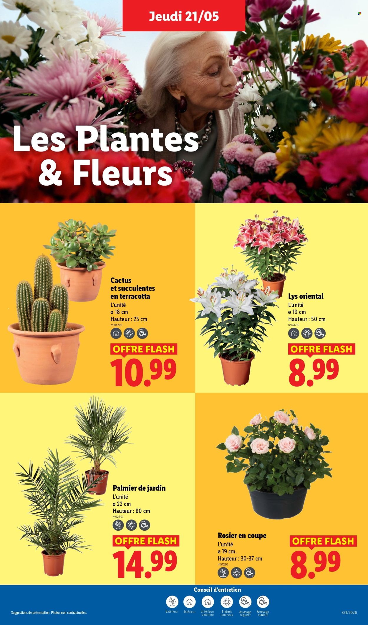 Catalogue Lidl - 21/05/2026 - 27/05/2026. Page 25