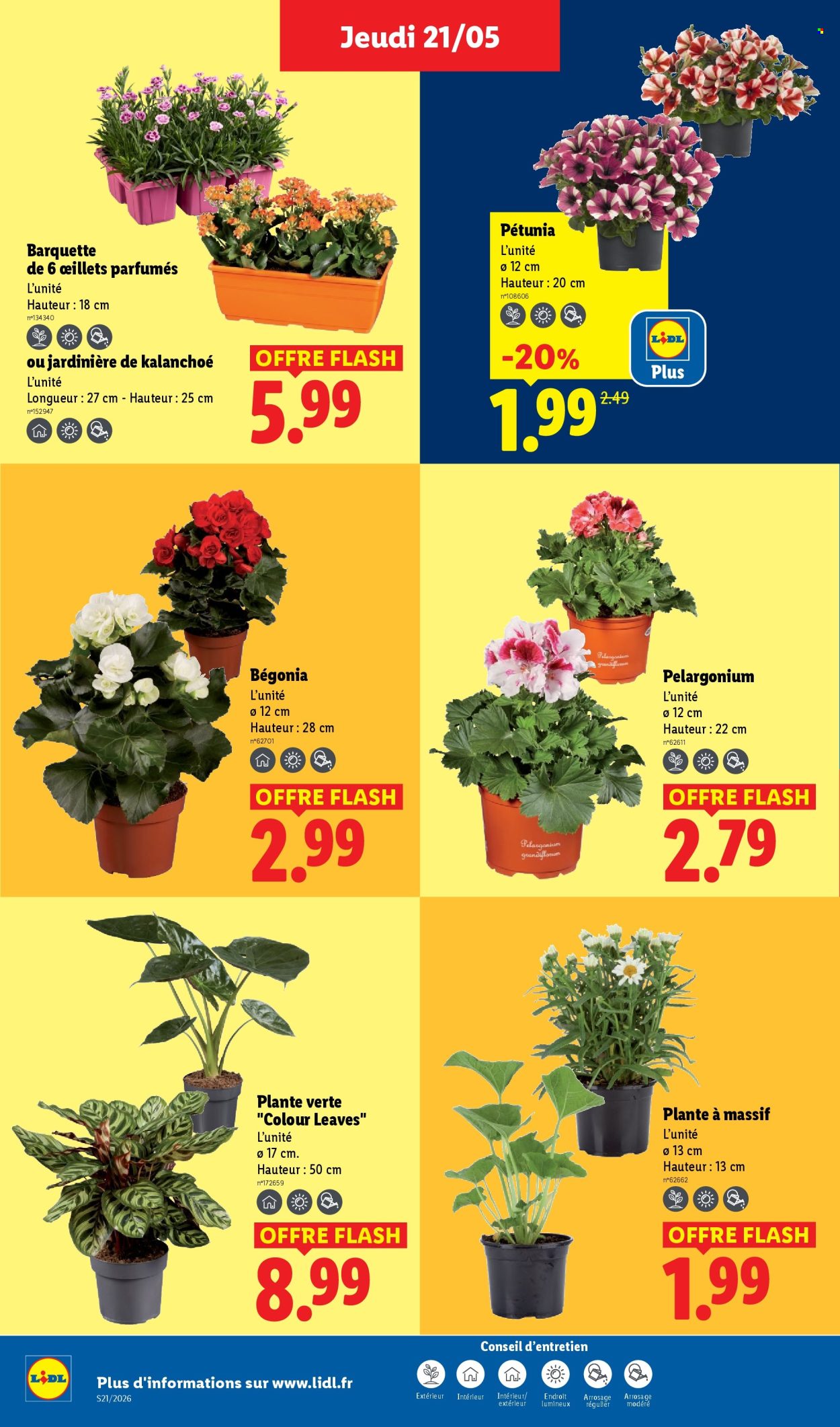Catalogue Lidl - 21/05/2026 - 27/05/2026. Page 26