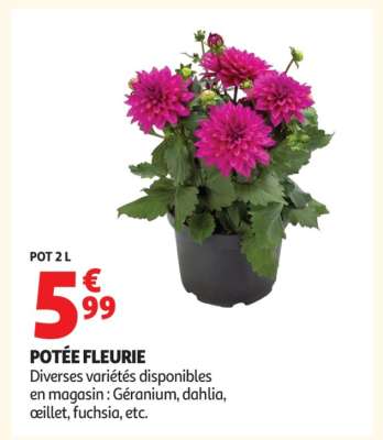Potée Fleurie