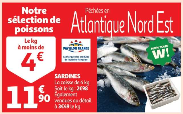 Sardines