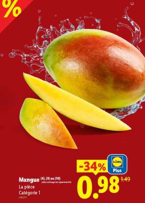 Mangue