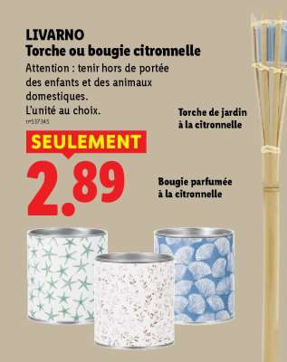 LIVARNO Torche ou bougie citronnelle