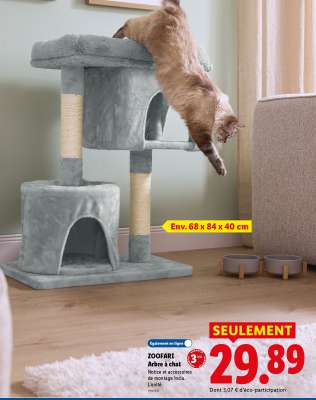 ZOOFARI Arbre à Chat