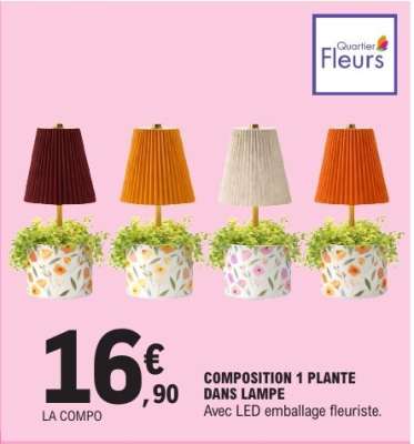 COMPOSITION 1 PLANTE DANS LAMPE
