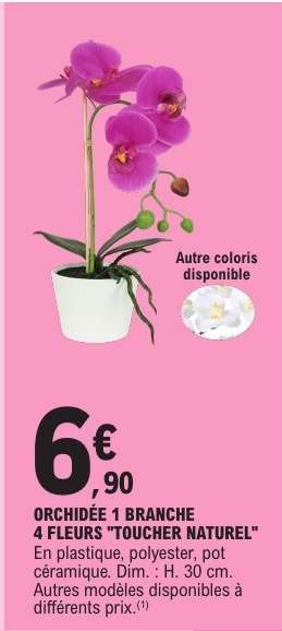 ORCHIDÉE 1 BRANCHE 4 FLEURS "TOUCHER NATUREL"